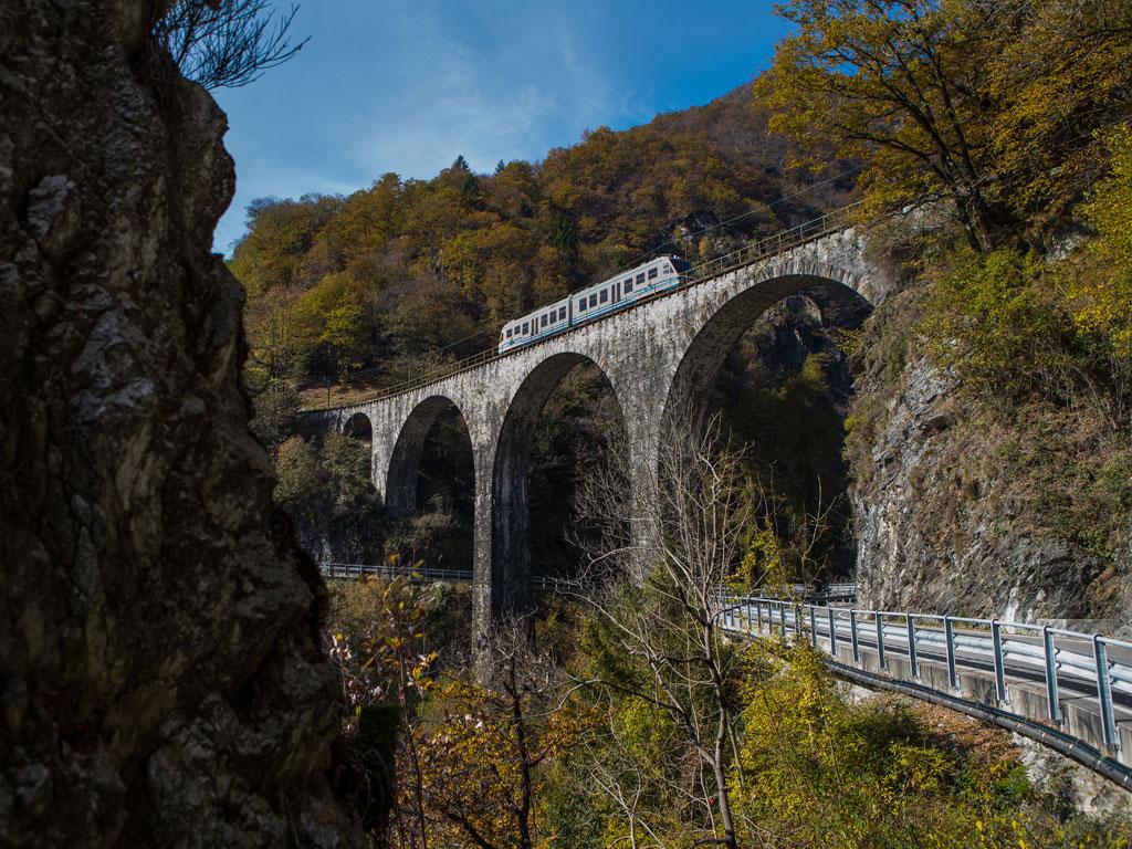 Image 2 - The foliage-train 