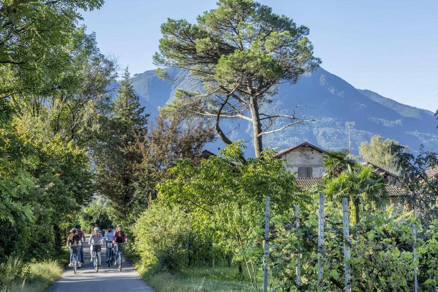 Image 2 - Bike & Wine Lago Maggiore