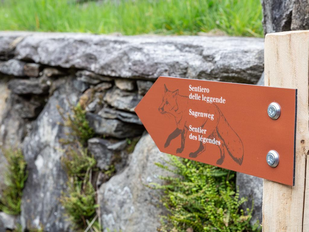 Image 0 - Trail of legends