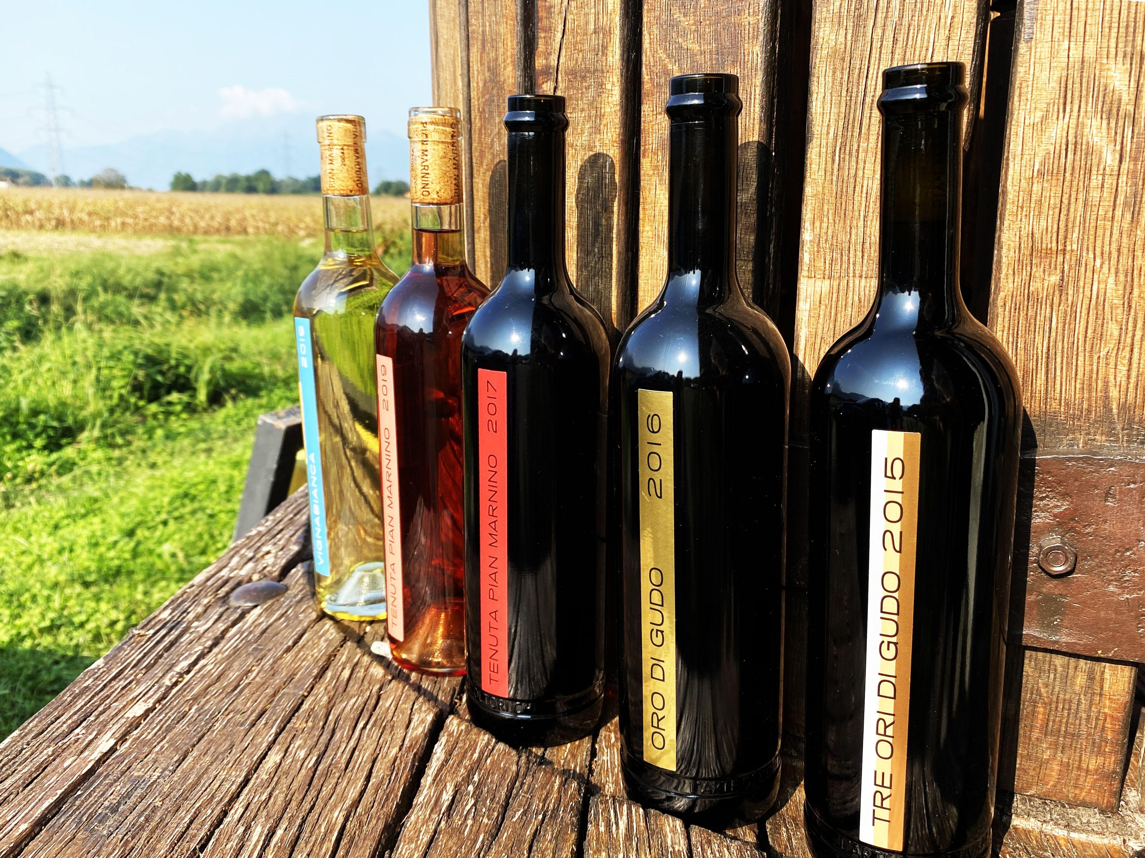 Image 0 - Cave vinicole Pian Marnino