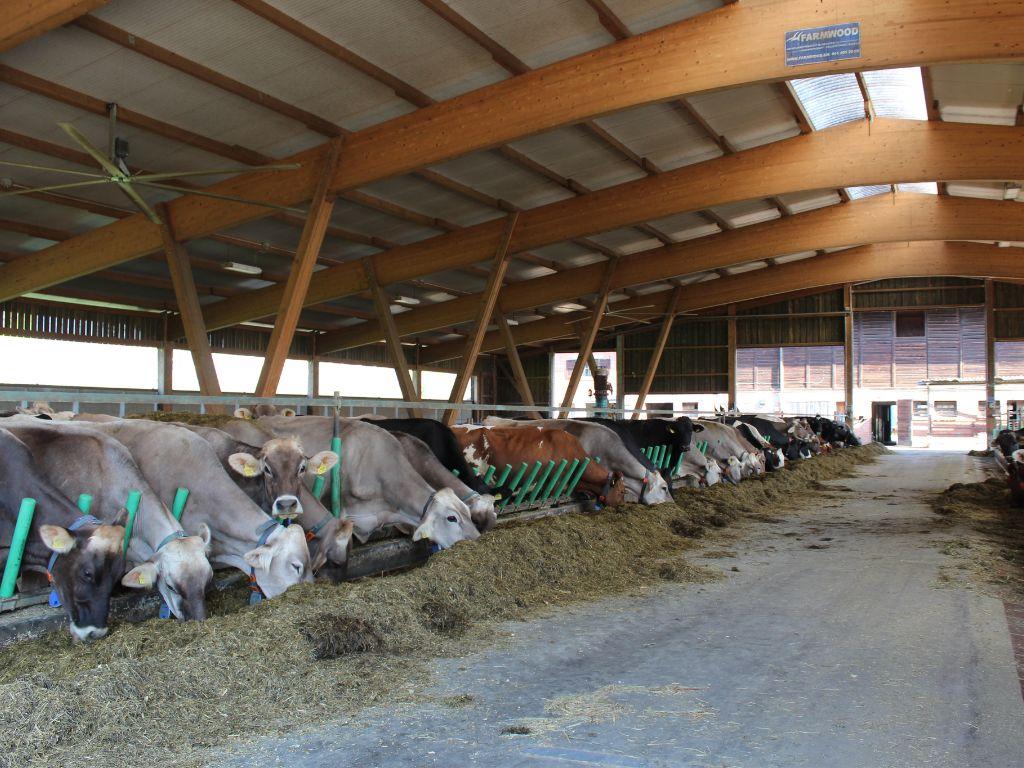 Image 9 - Masseria Ramello