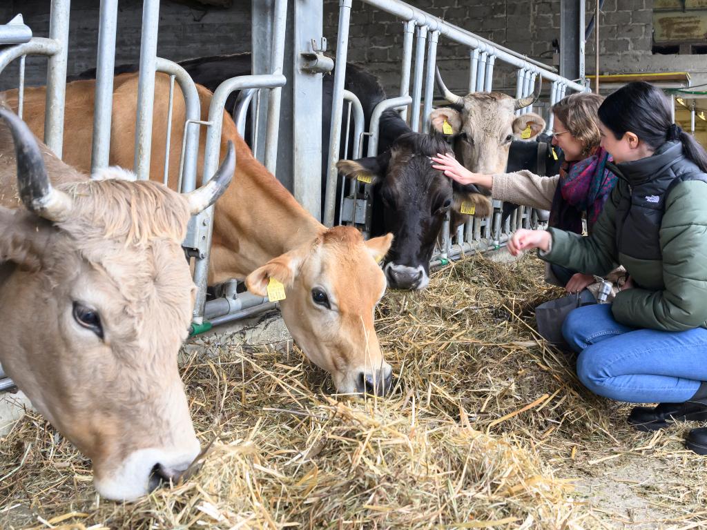 Agriesperienza - La Colombera