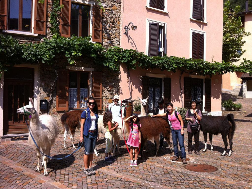 Image 2 - Lama Trekking