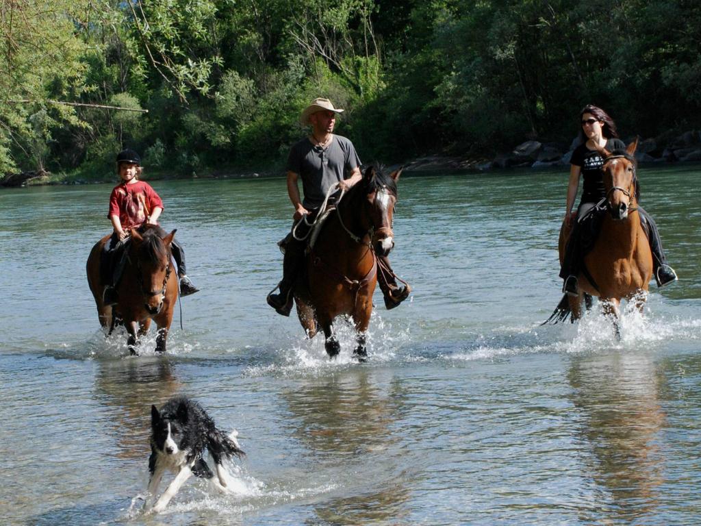 Image 5 - Azienda Agrituristica Bio - La Finca
