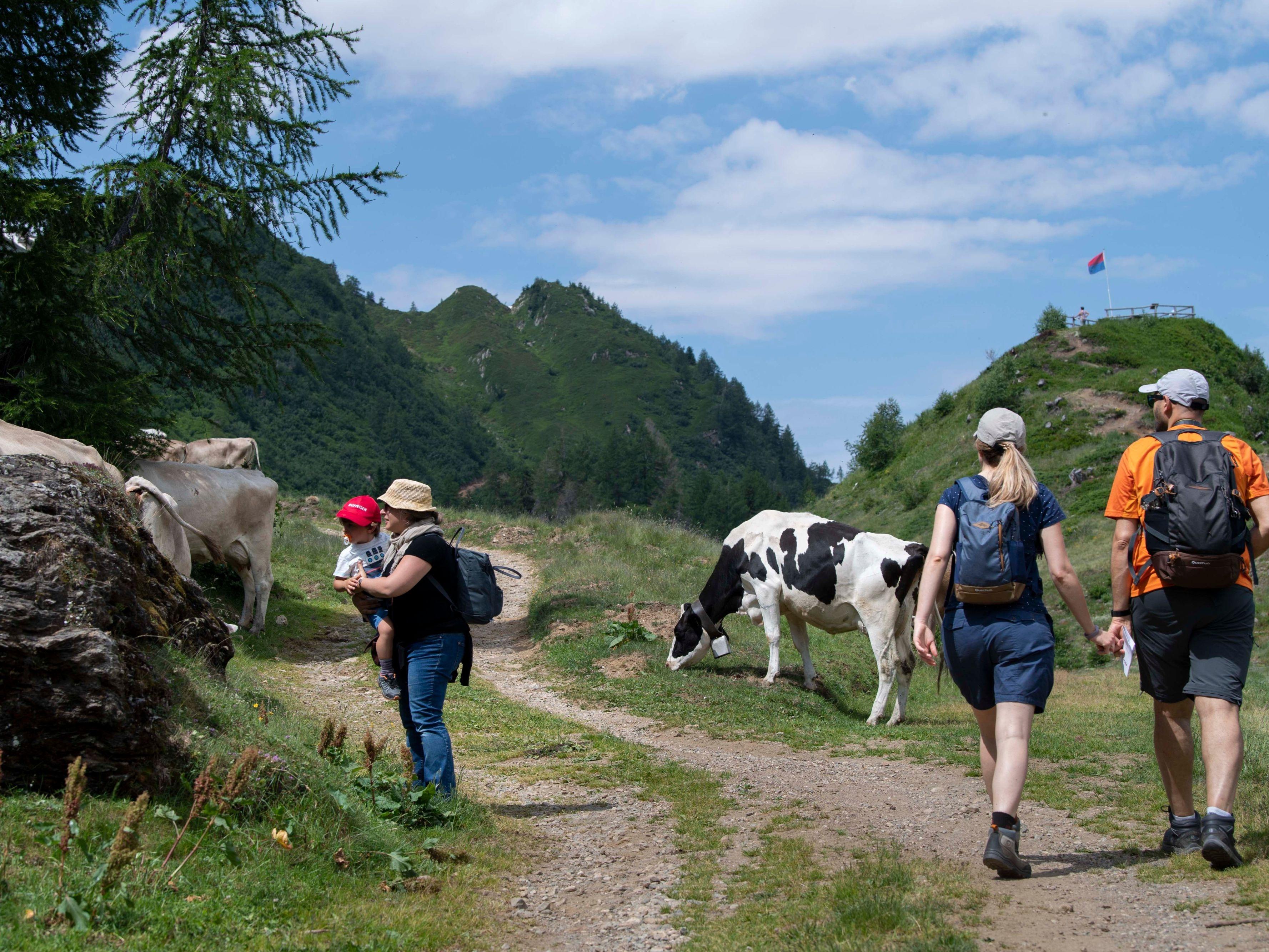 Image 5 - Cableway Airolo-Pesciüm - Summer