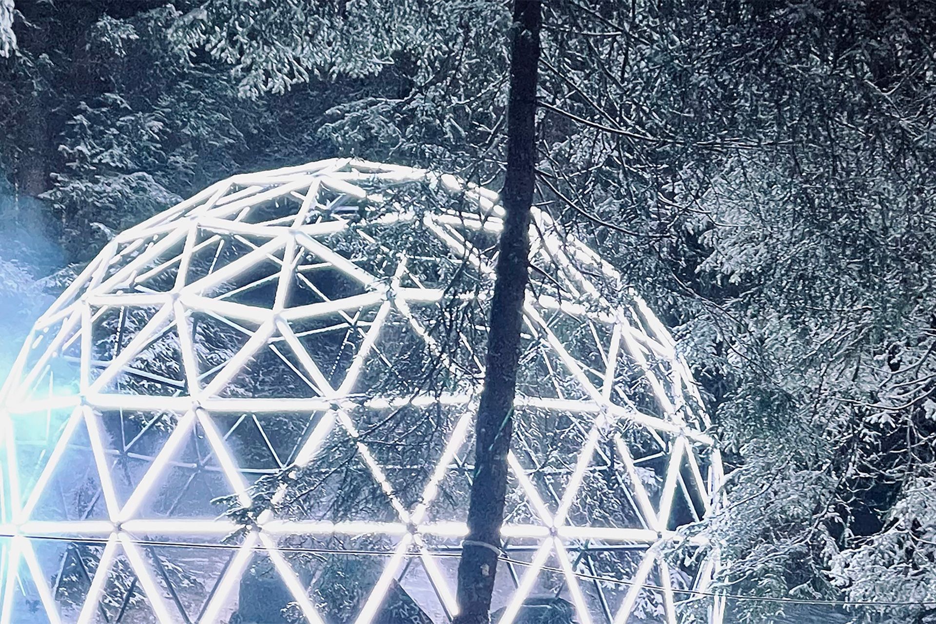 Synergetics Dome