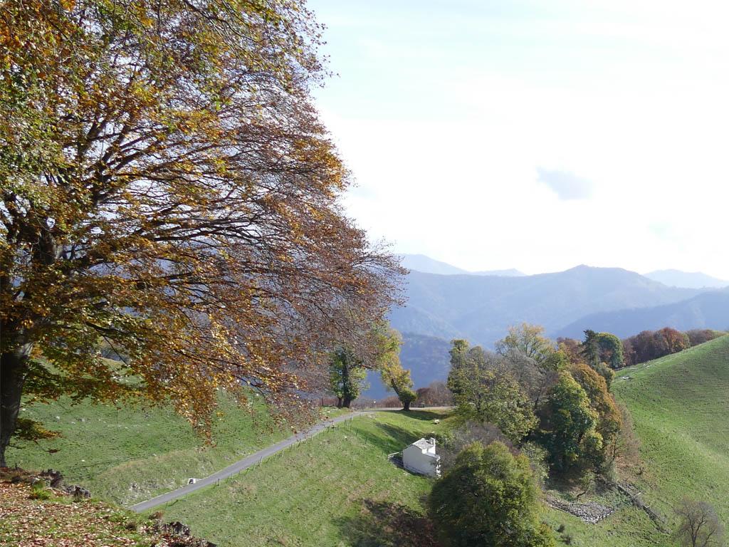 Image 3 - Riserva forestale del Monte Generoso