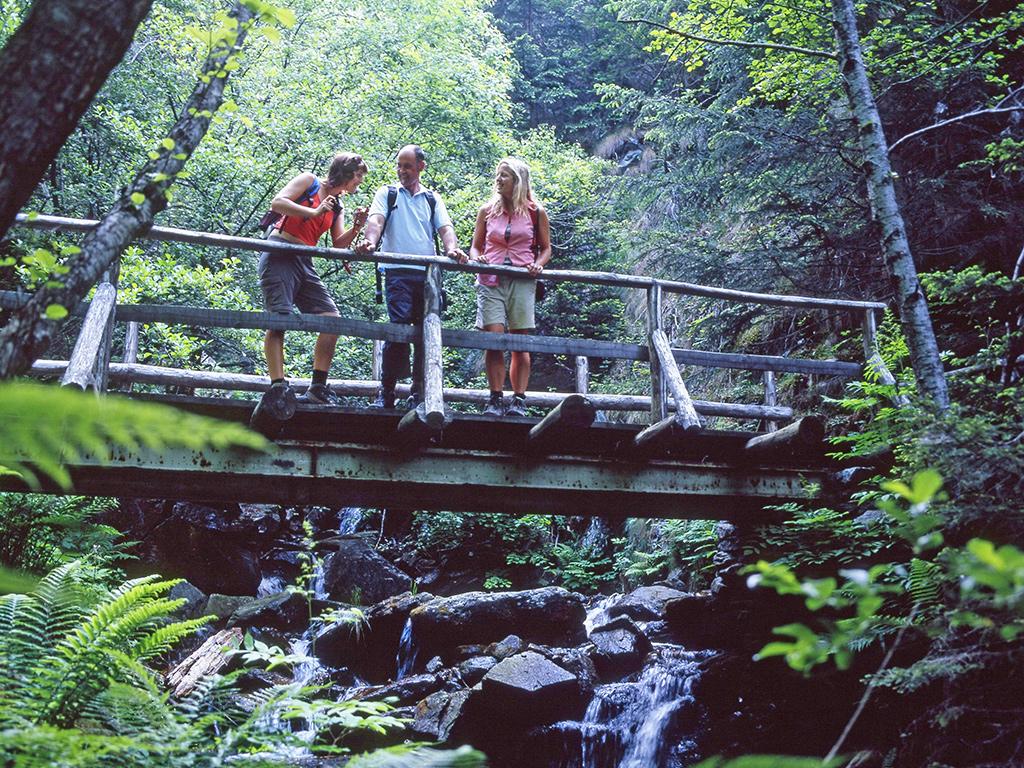 Image 5 - Wanderferien: Trans Swiss Trail, Gotthard Pass & Strada Alta