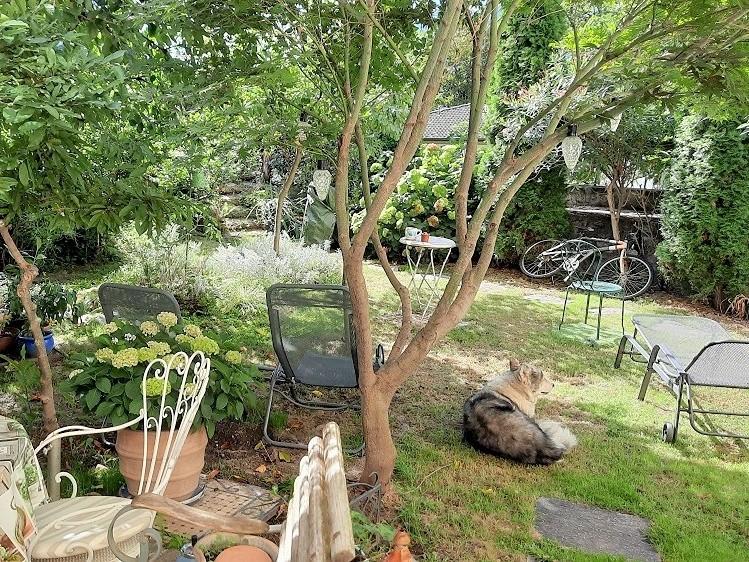 Image 3 - B&B Il Calicanto