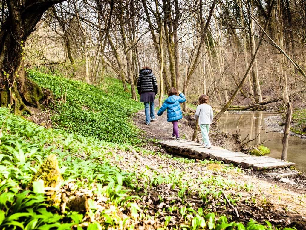 Image 2 - Valle della Motta Forest Reserve