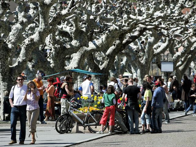 Image 3 - The market of Ascona