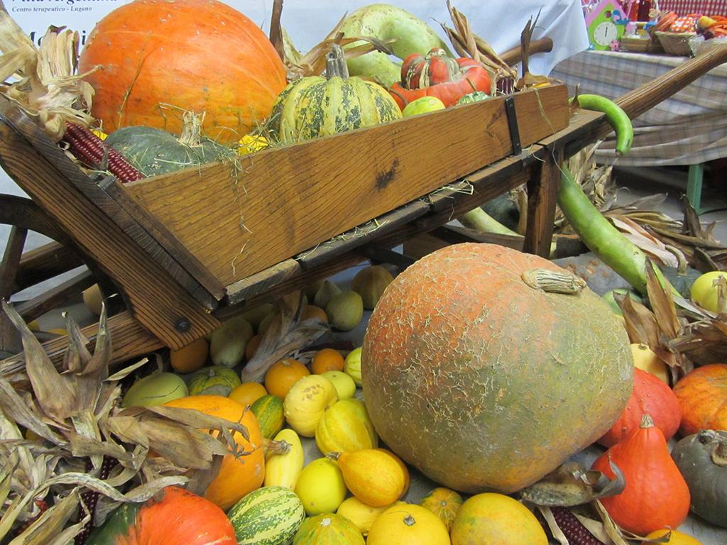 Image 1 - Crème de potiron - La recette