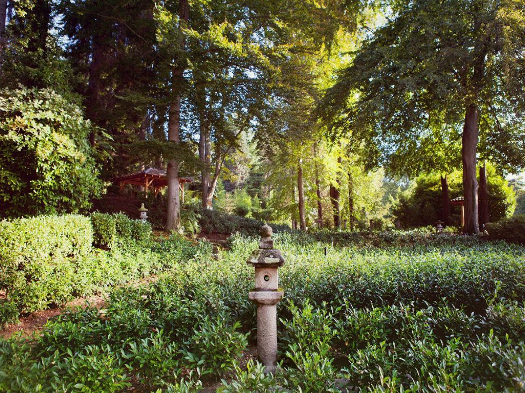 Image 6 - Monte Verità Park