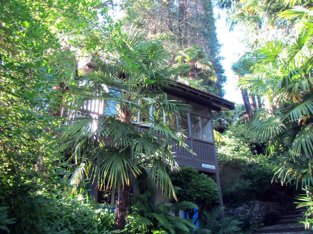 Image 2 - Musées Monte Verità