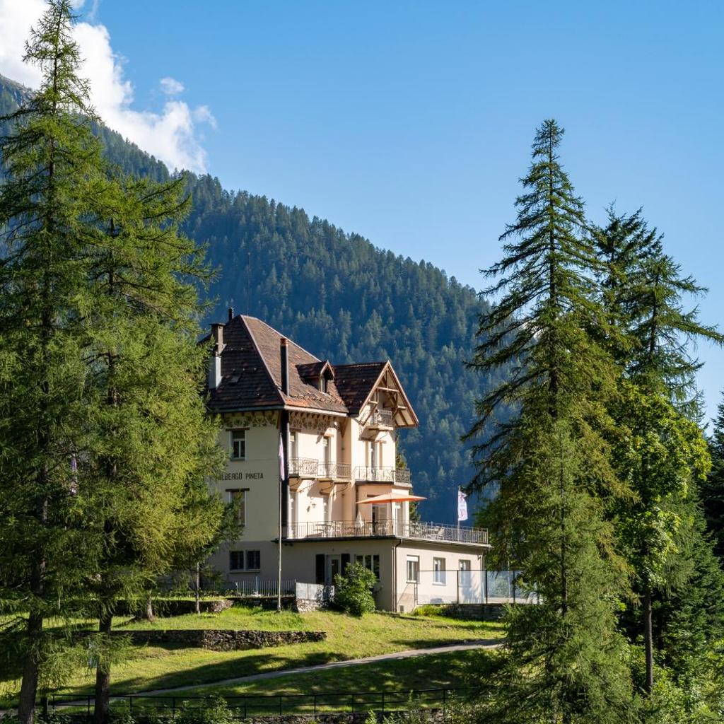 Image 9 - Villa Pineta