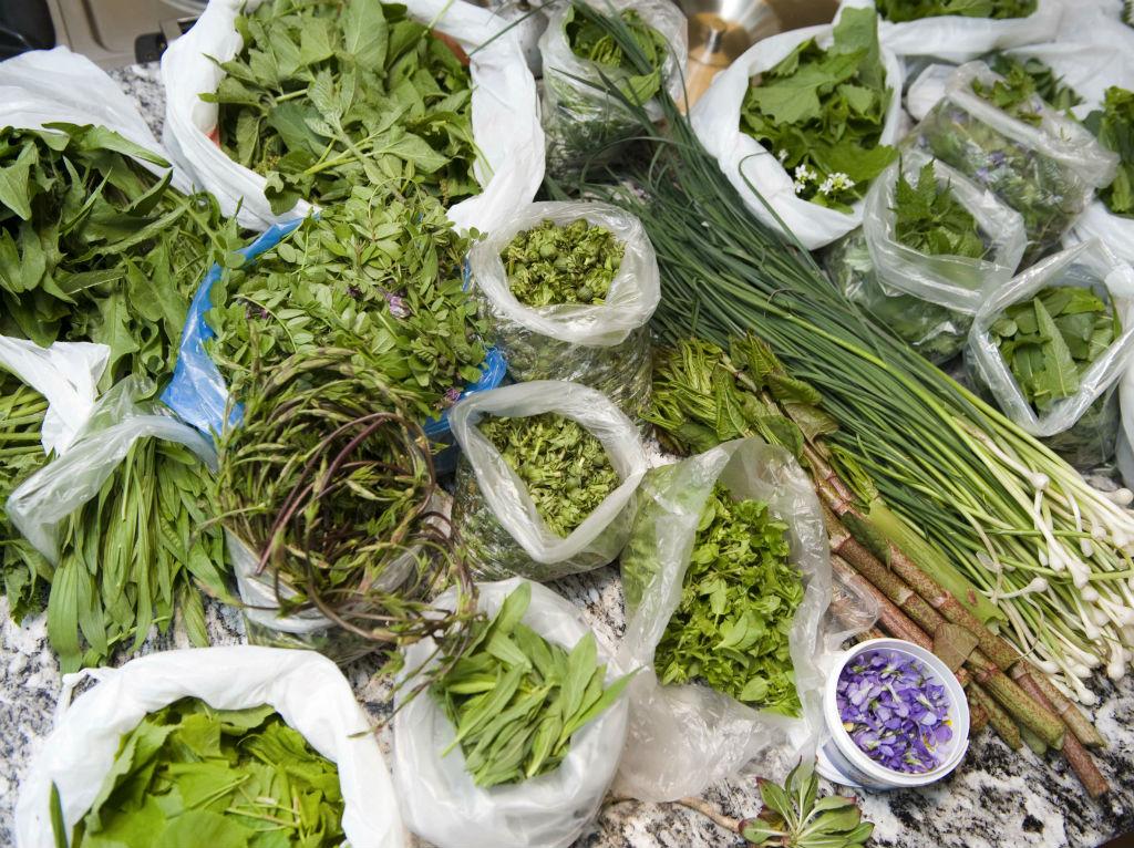 Image 0 - In der Küche mit Meret Bissegger