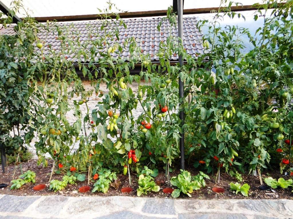 Image 6 - Sonja Eichholzer - hausgemachtes.ch