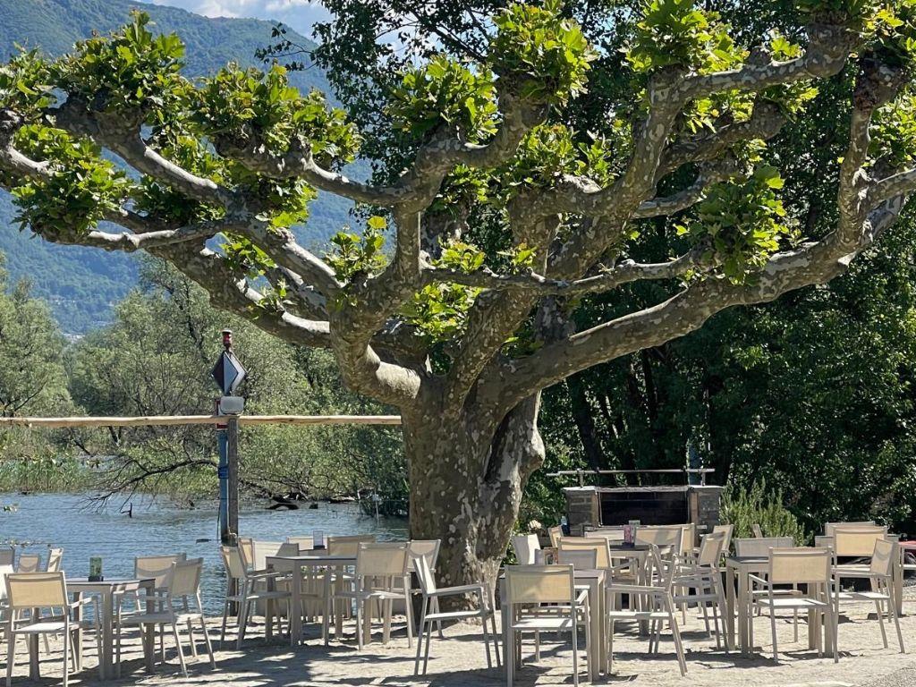 Image 4 - Lido di Magadino - Baraonda