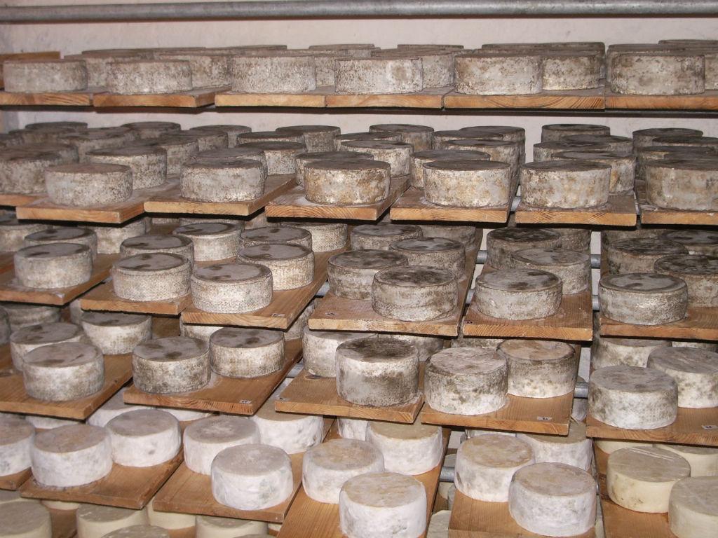 Image 6 - Azienda Capra Contenta