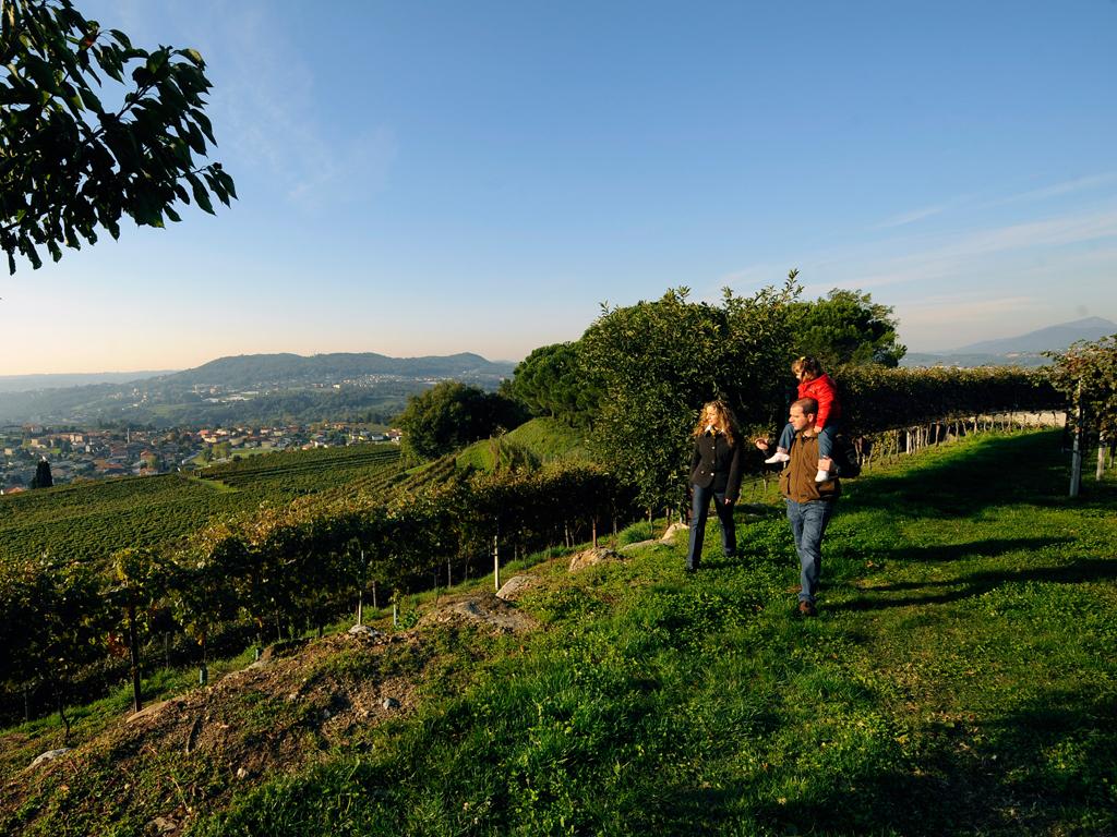 Image 2 - Parravicini Vitivinicoltori