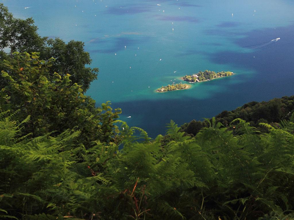 Image 7 - Isole di Brissago – Giardino Botanico