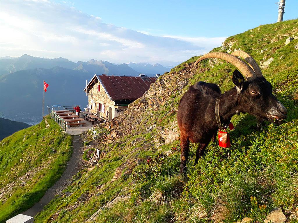 Image 1 - Capanna Tamaro