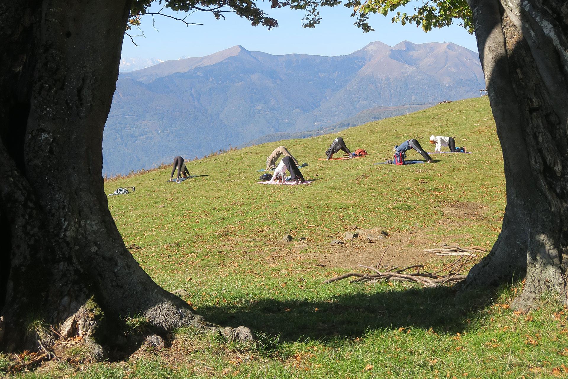 Image 1 - Wandering Yogis