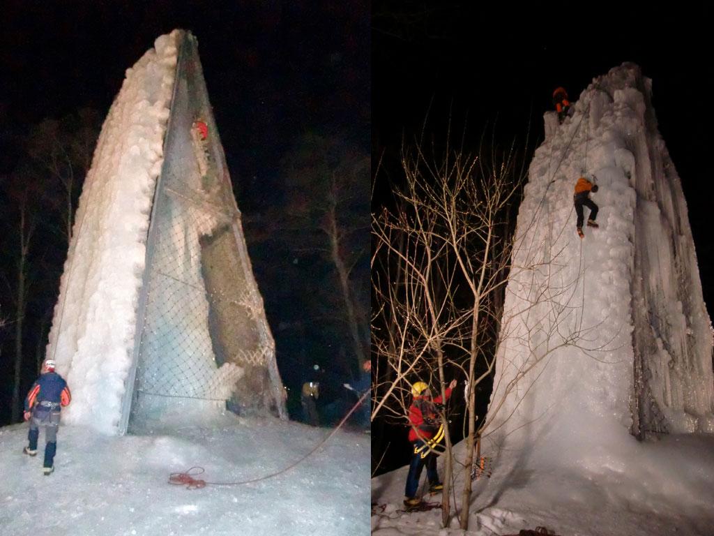 Image 2 - Ice tree of Audan