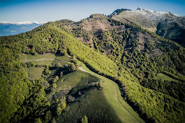 Image 0 - Oratorio di Maria Vergine Assunta