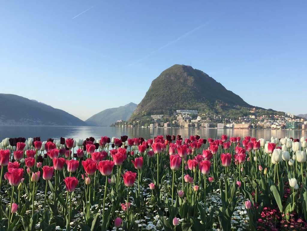 Image 3 - Patricia Carminati - Tourism Consulting & Services