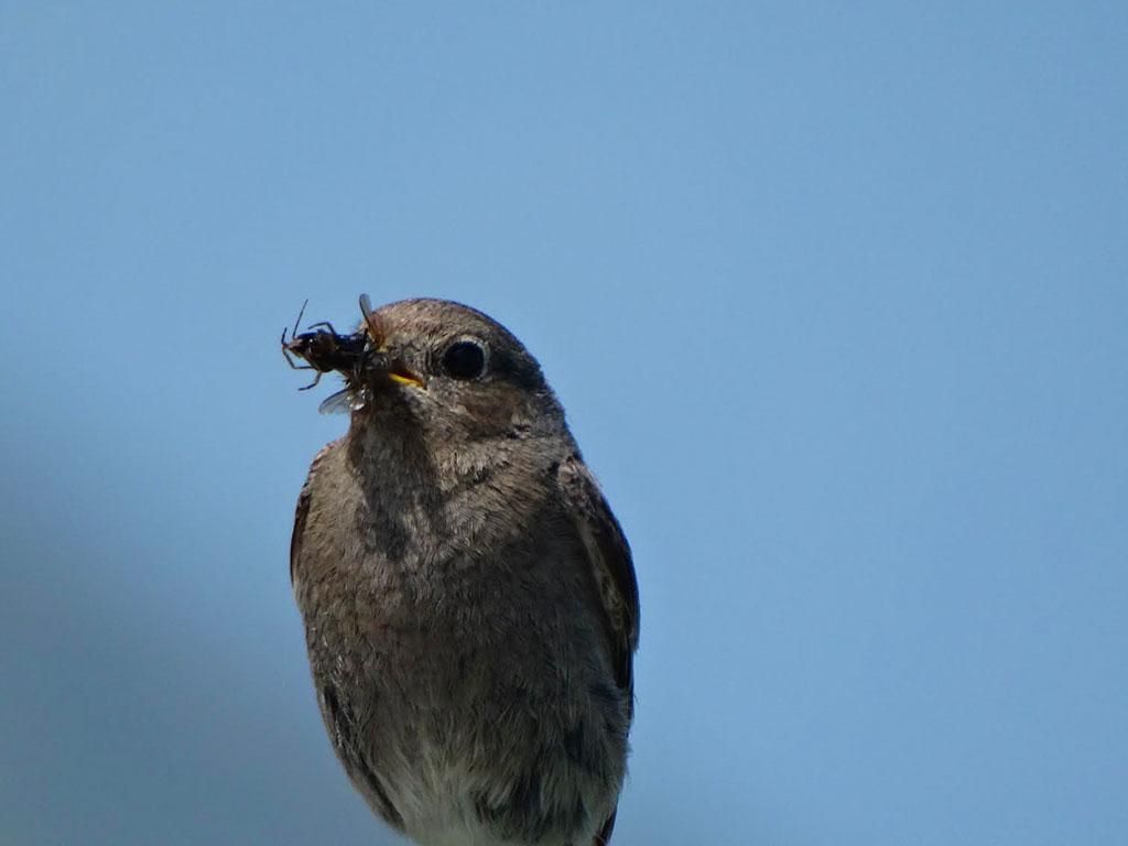 Image 23 - Capanna Tamaro