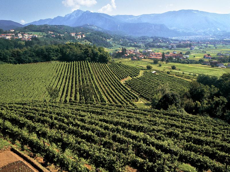 Image 2 - Montalbano