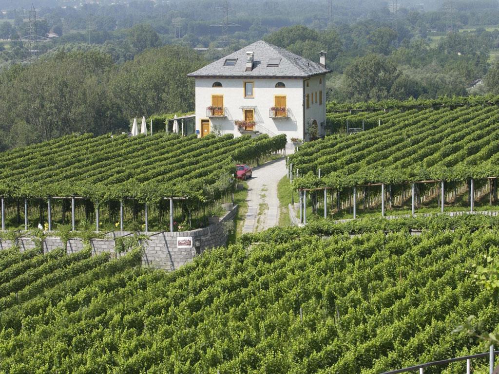 Image 3 - Agriturismo Fattoria l'Amorosa