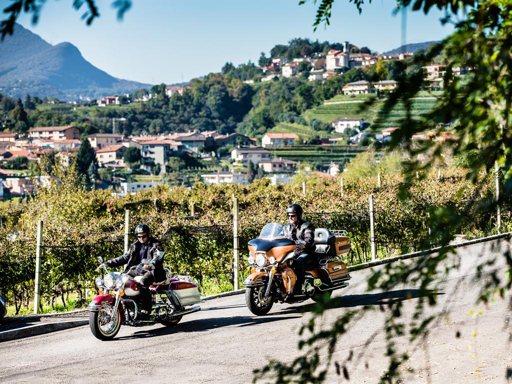Image 0 - Grand Tour of Switzerland - Mendrisiotto et Basso Ceresio