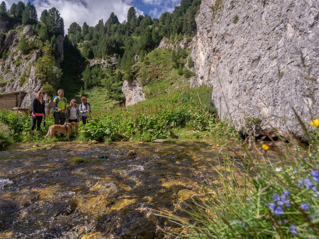 Image 5 - Lukmanier nature trails