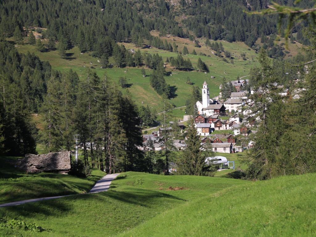Image 13 - Talfahrt auf dem Monster Roller Bosco Gurin