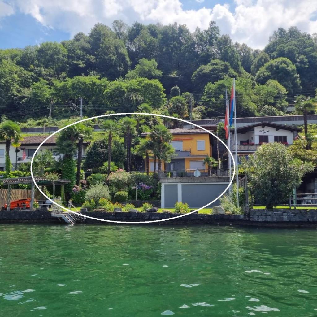 Image 0 - Riviera by Fewotessin