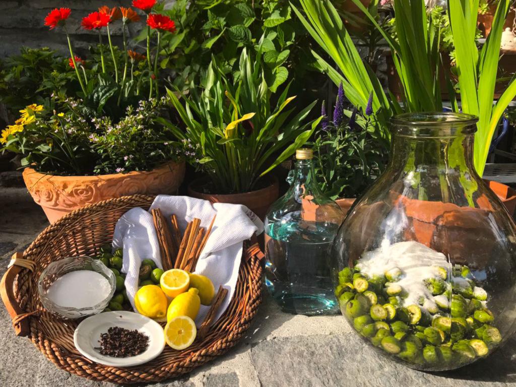 Image 7 - Agriturismo Dosso dell'Ora