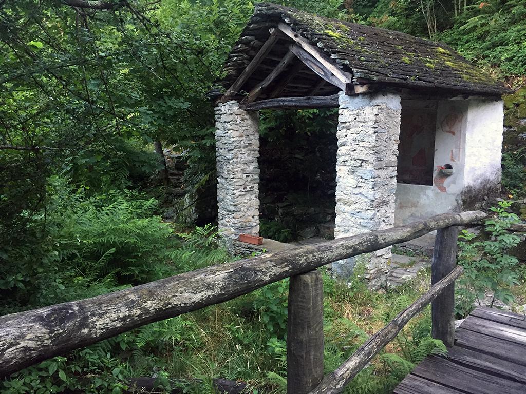 Image 6 - Discover the Maia Woodland