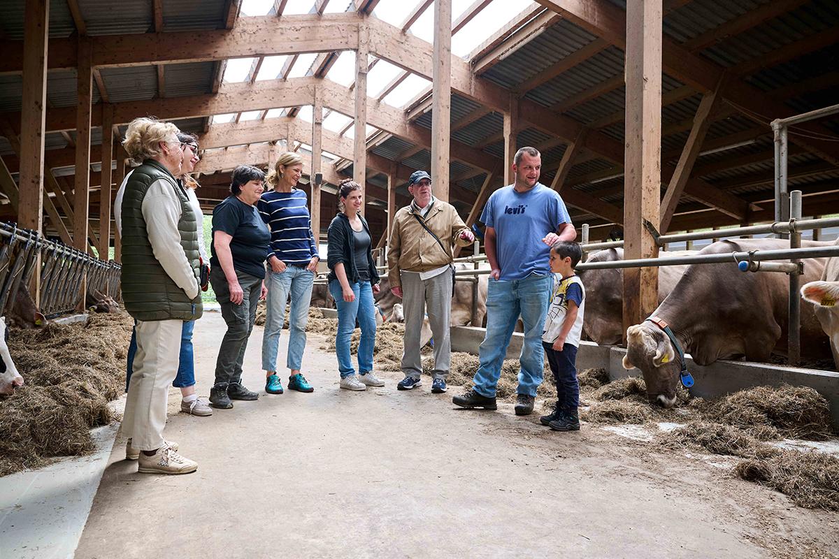 Image 2 - La Valle del sole: un viaggio tra cultura e prodotti genuini della Valle di Blenio