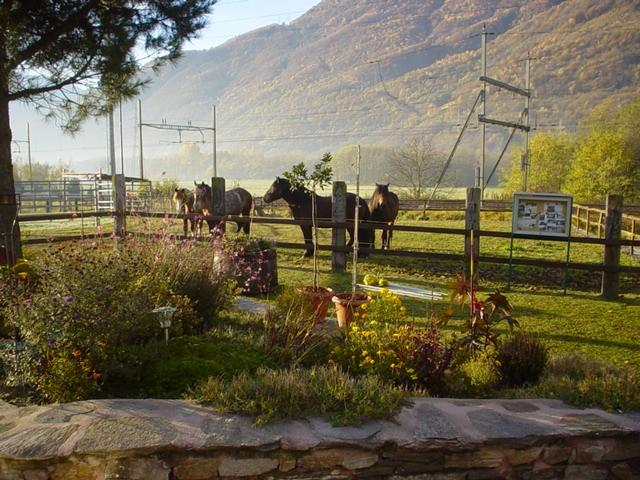 Image 7 - Ostello Centro Terapeutico La Fattoria