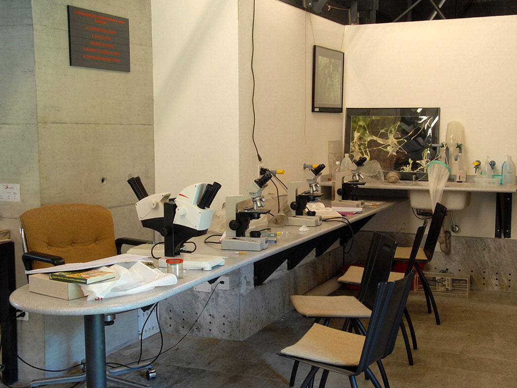 Image 2 - Centro Biologia Alpina di Piora 