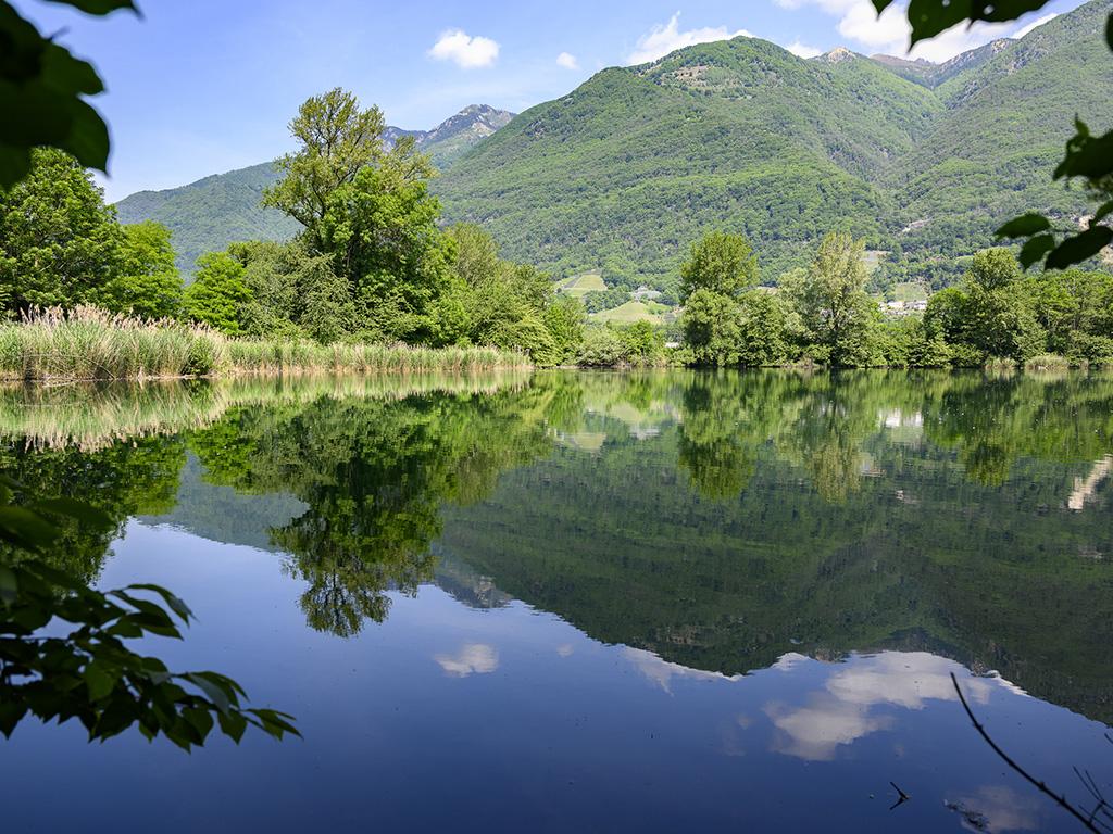 Image 3 - Piano di Magadino Park