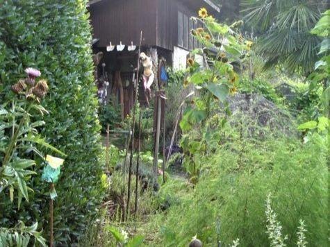 Image 3 - Visite guidée du Atelier Max Läubli Claro