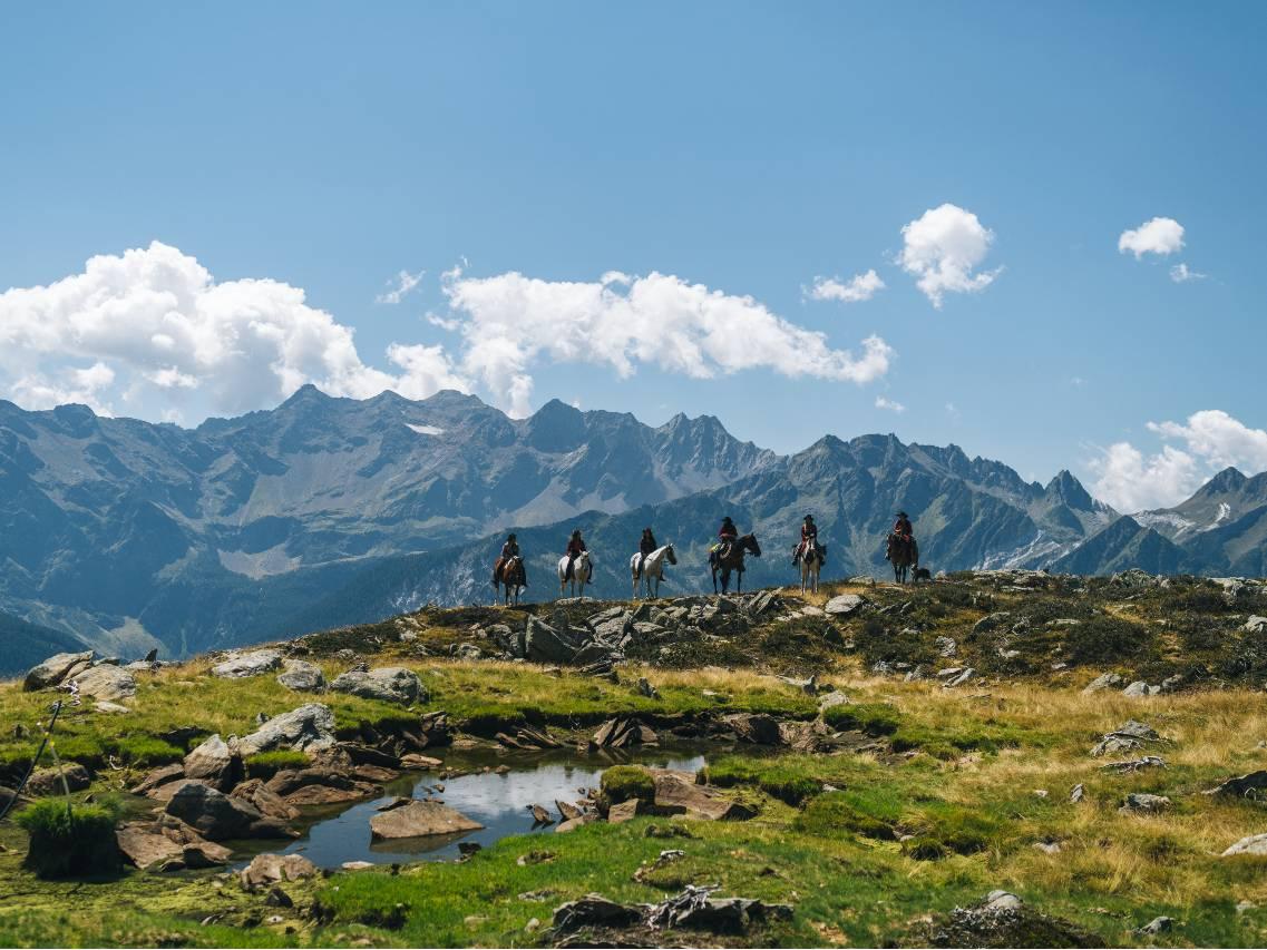 Image 1 - Horse rides in Valle Leventina: Leventina Western