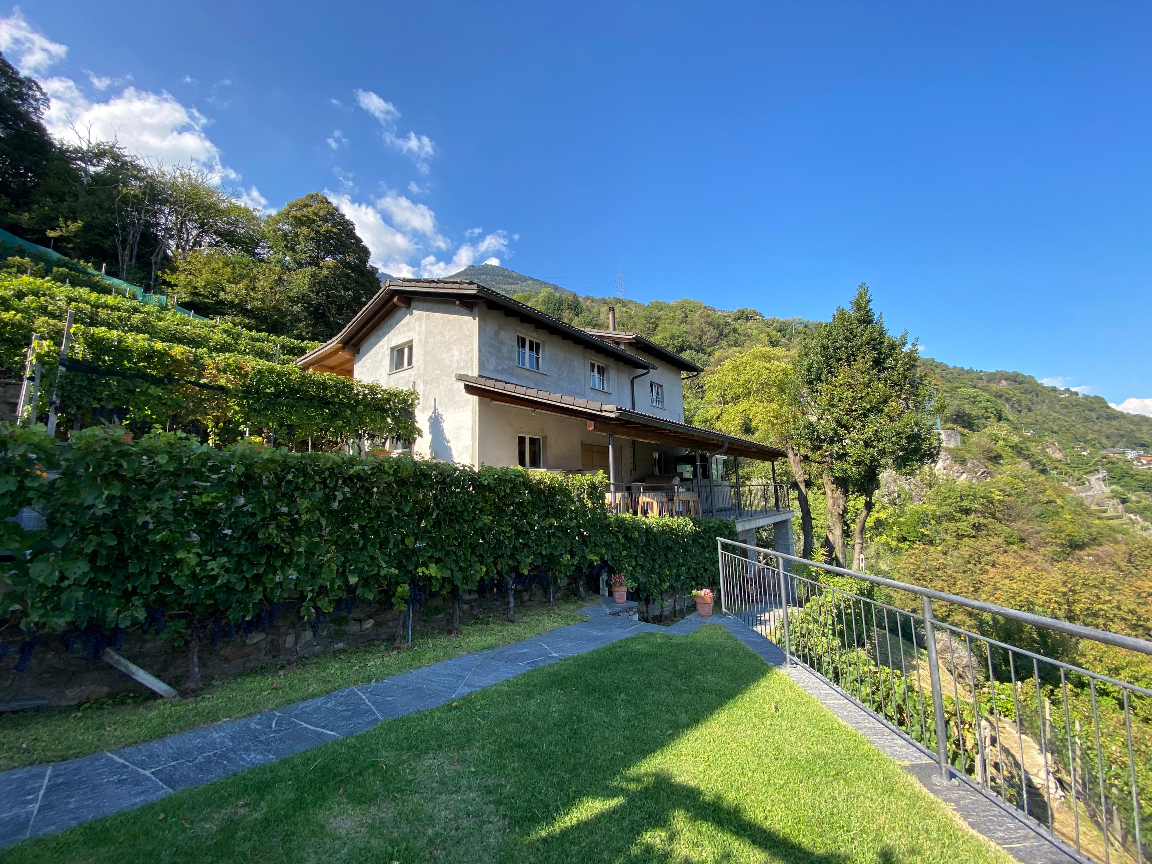 Image 2 - Cantina Vitivinicola Pizzorin