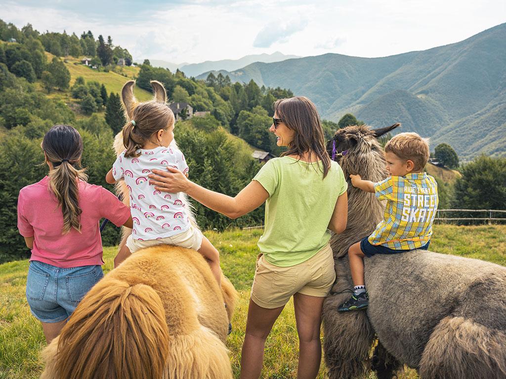 Image 5 - Lamatrekking Ticino