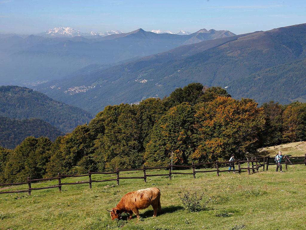 Image 2 - Alpe Cottino