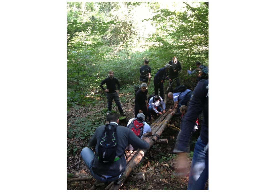 Image 1 - OUT OF THE WOODS. Survival experience