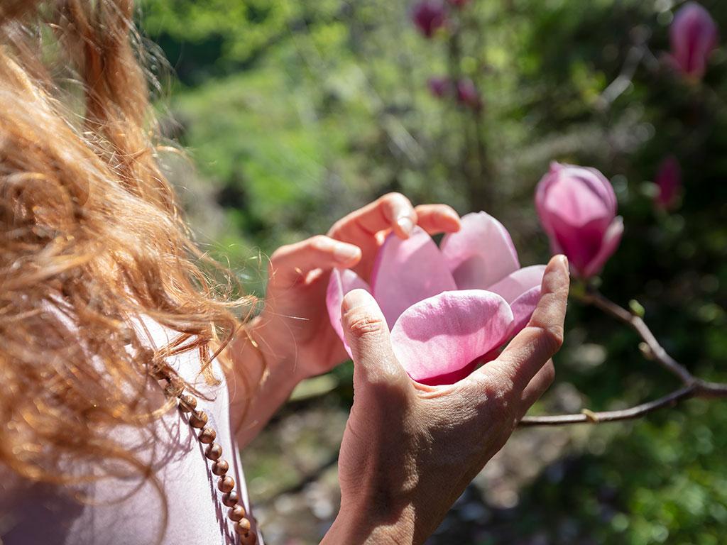 Image 6 - Botanical garden of Gambarogno